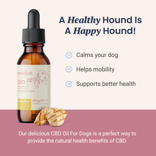 Holistapet Chicken Flavored CBD Oil For Dogs