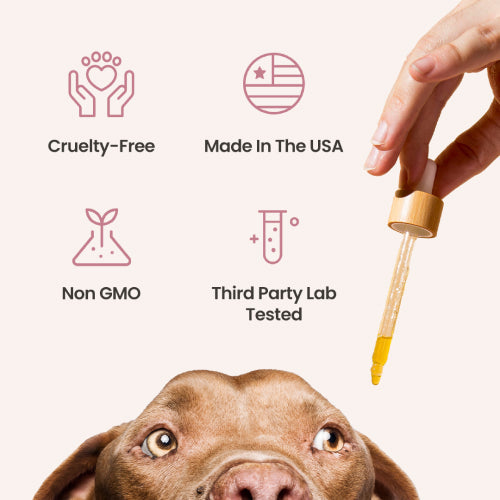 Holistapet Chicken Flavored CBD Oil For Dogs