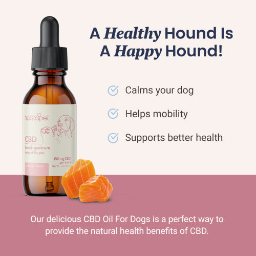 Holistapet Salmon Flavored CBD Oil For Dogs