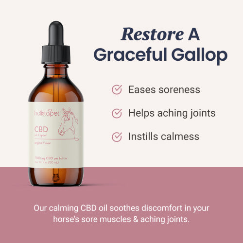 Holistapet CBD Oil for Horses