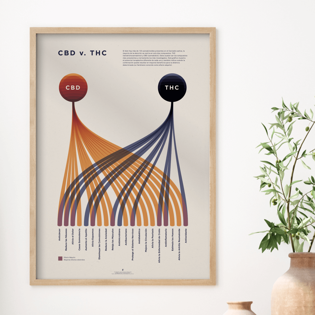 GoldLeaf Cuadro Comparativo de CBD vs. THC Best Sales Price - Art Prints