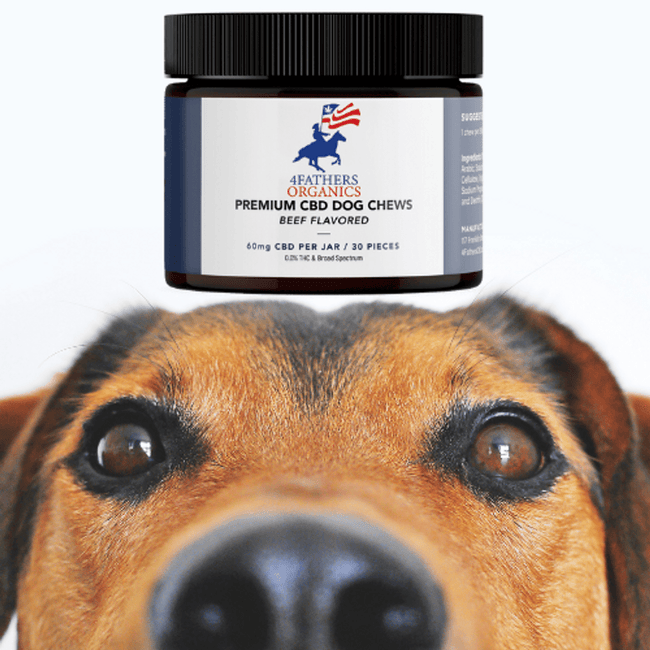 4FathersOrganics CBD Dog Chews – Beef Flavored