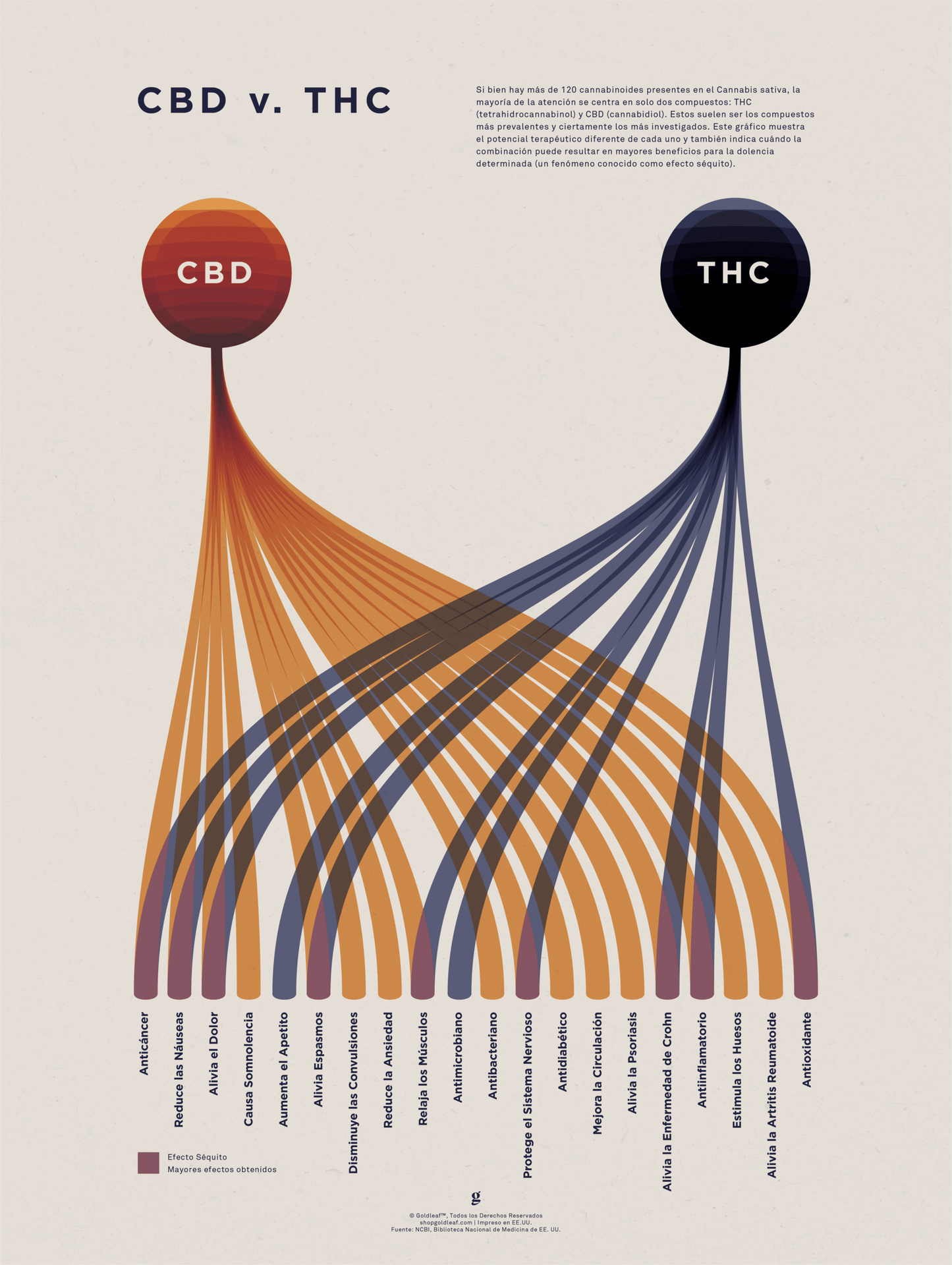 GoldLeaf Cuadro Comparativo de CBD vs. THC Best Sales Price - Art Prints