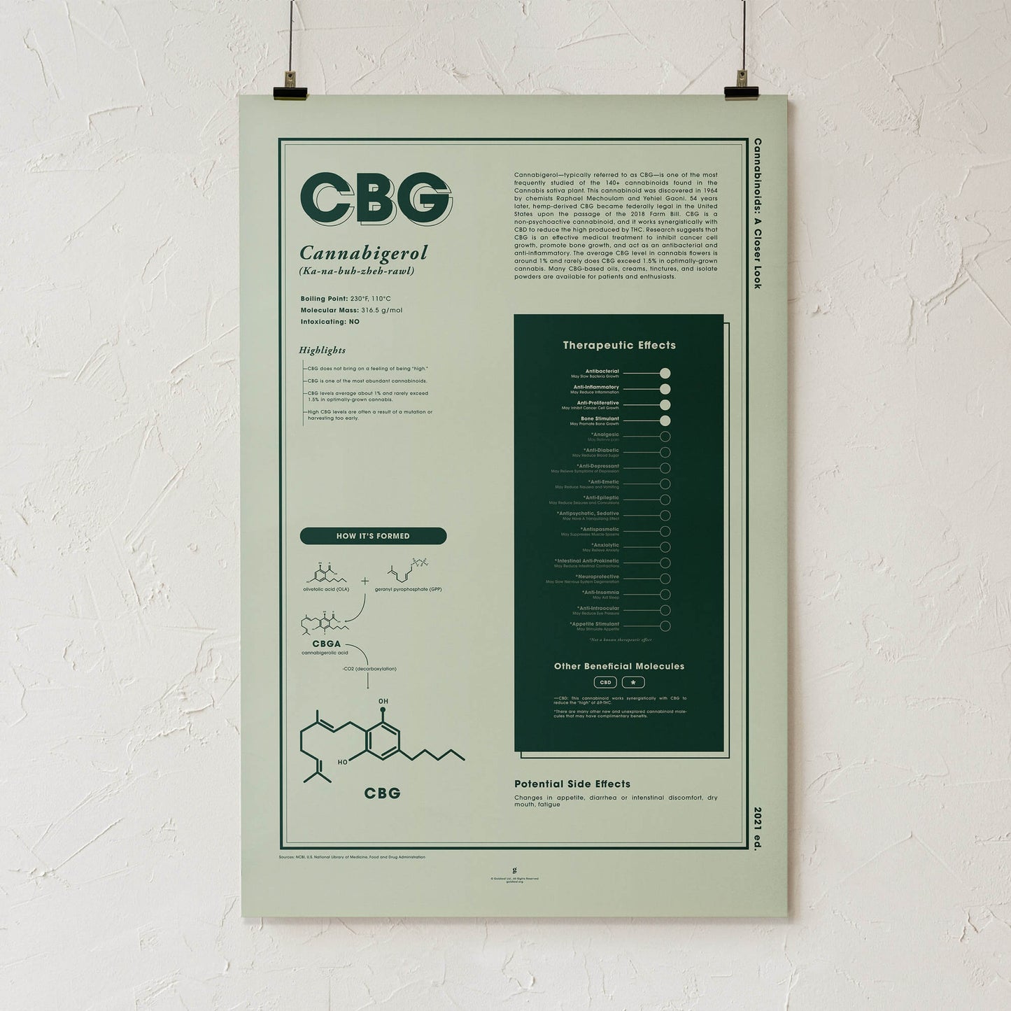 GoldLeaf CBG: A Closer Look Print Best Sales Price - Art Prints