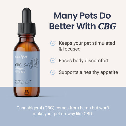 Holistapet CBG Oil for Dogs and Cats