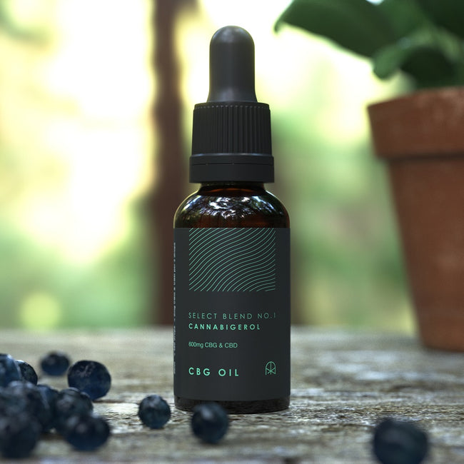 CBD One CBG Oil [300mg CBG] Best Sales Price - Tincture Oil