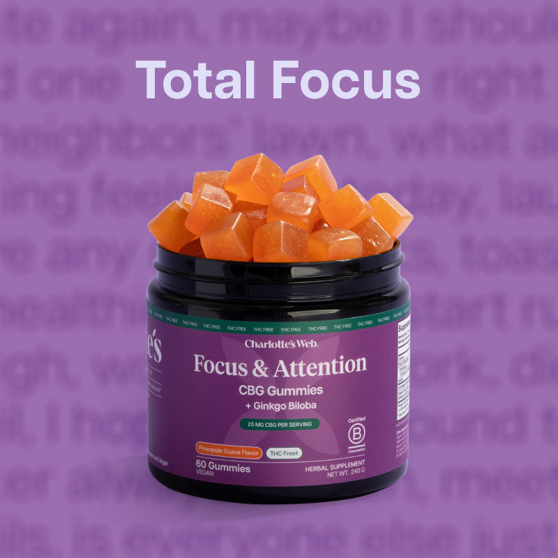Focus & Attention CBG Gummy