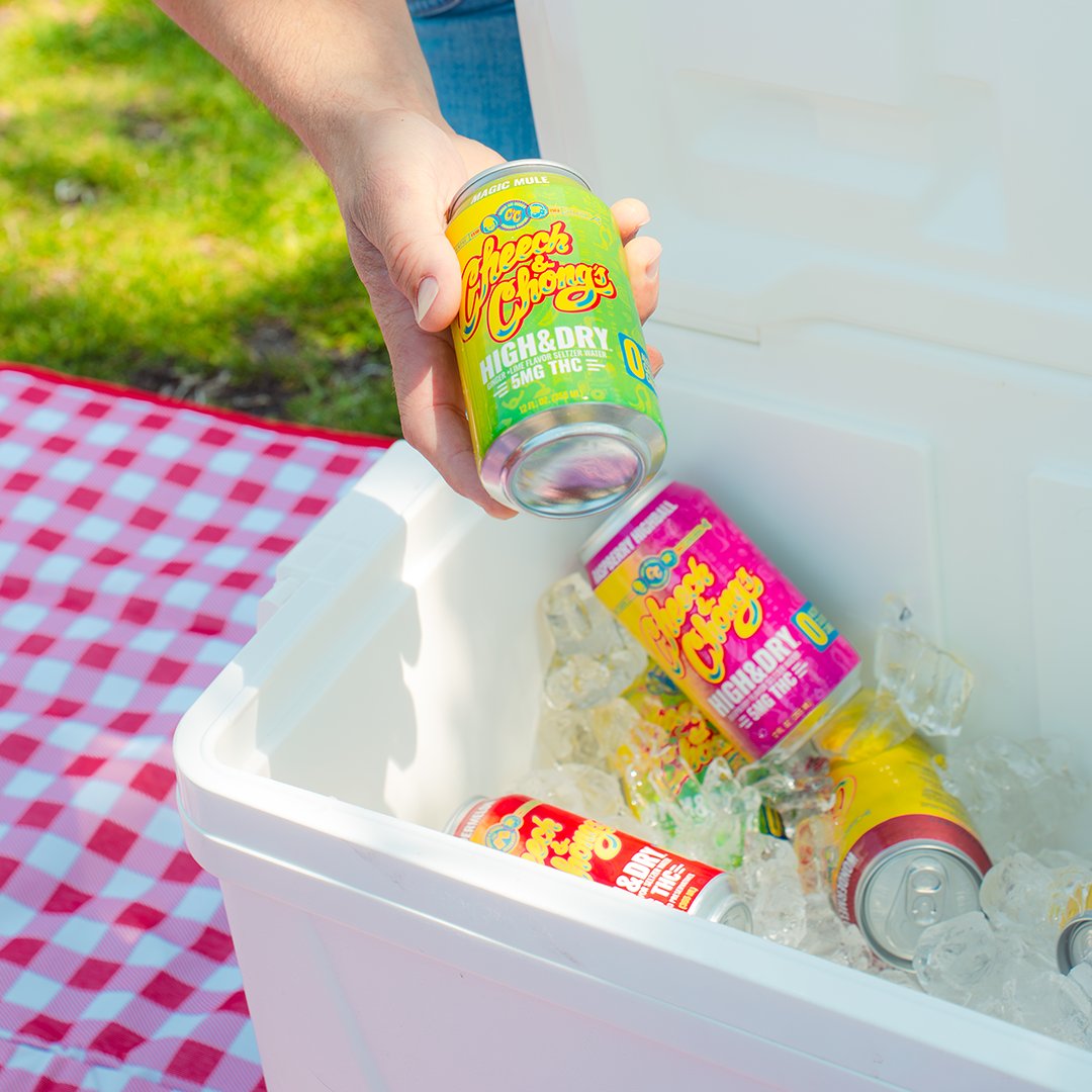 Mango Fizz- HIGH AND DRY THC Infused Seltzer Water