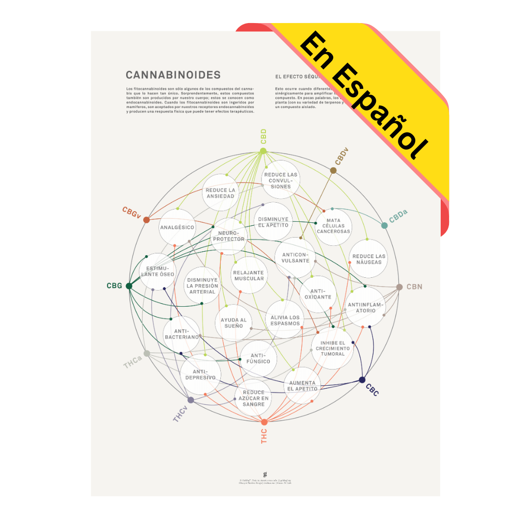 GoldLeaf La Matriz de Salud Cannabinoides Impresíon Best Sales Price - Art Prints