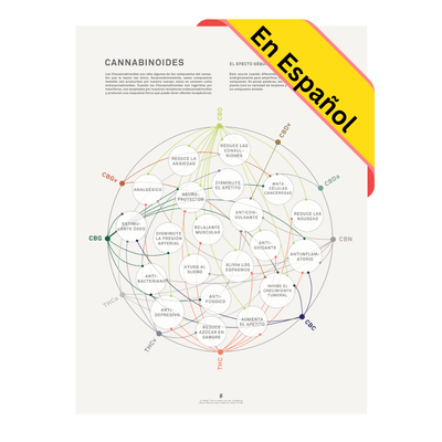 GoldLeaf La Matriz de Salud Cannabinoides Impresíon Best Sales Price - Art Prints