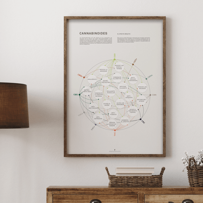 GoldLeaf La Matriz de Salud Cannabinoides Impresíon Best Sales Price - Art Prints