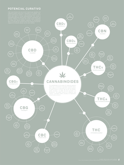 GoldLeaf Tabla de Cannabinoides Impresión en Español Best Sales Price - Art Prints