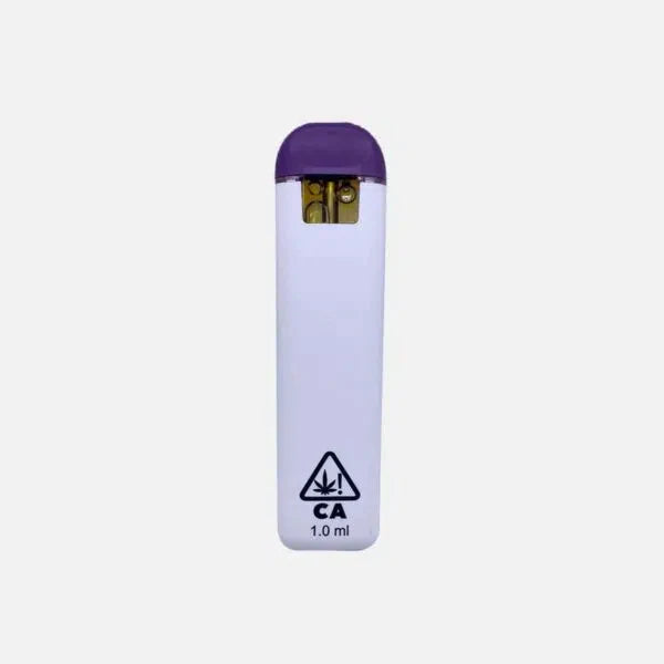 Dank Lite | Delta 11 THC Disposables - 1g Best Sales Price - Vape Pens