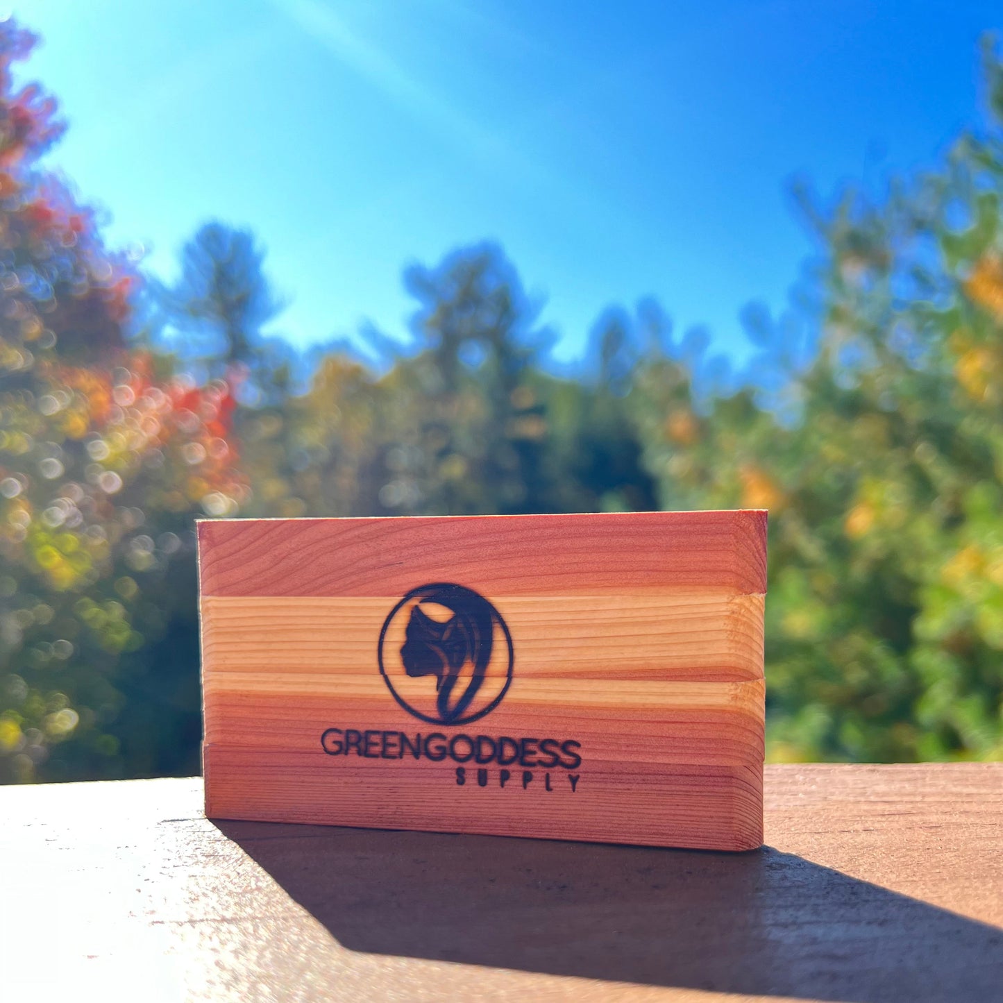 Aromatic Cedar PotPocket - Regular