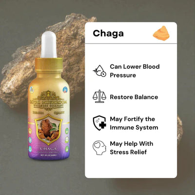 Royal Mushroom Chaga Mushroom Oil Tincture 60ml Best Sales Price - Tincture Oil