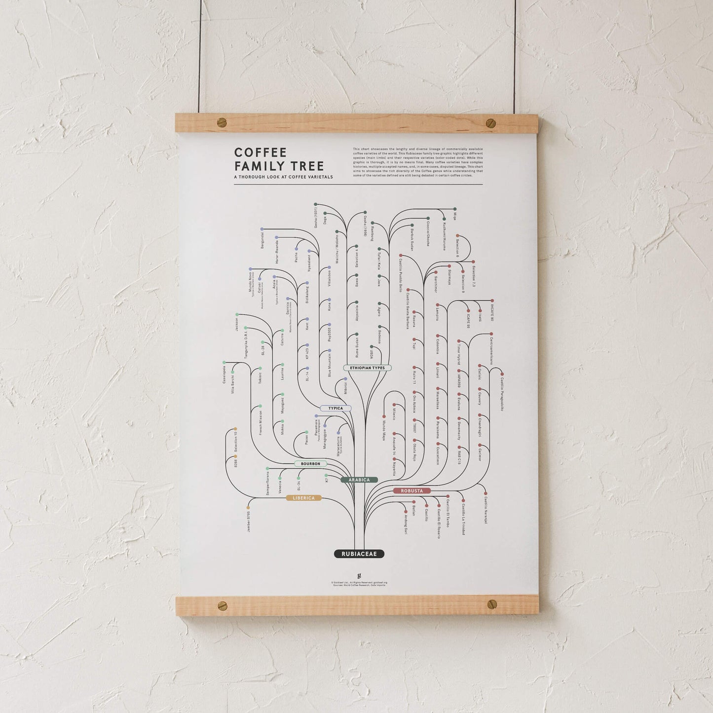 GoldLeaf Coffee Family Tree Print Best Sales Price - Art Prints