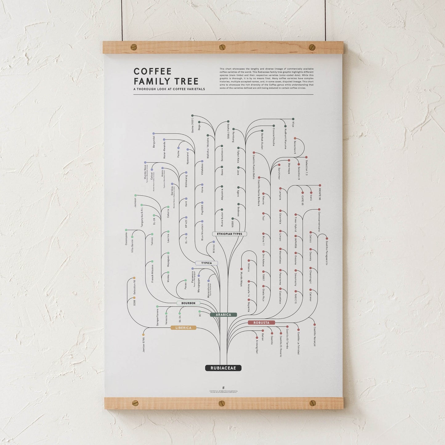 GoldLeaf Coffee Family Tree Print Best Sales Price - Art Prints