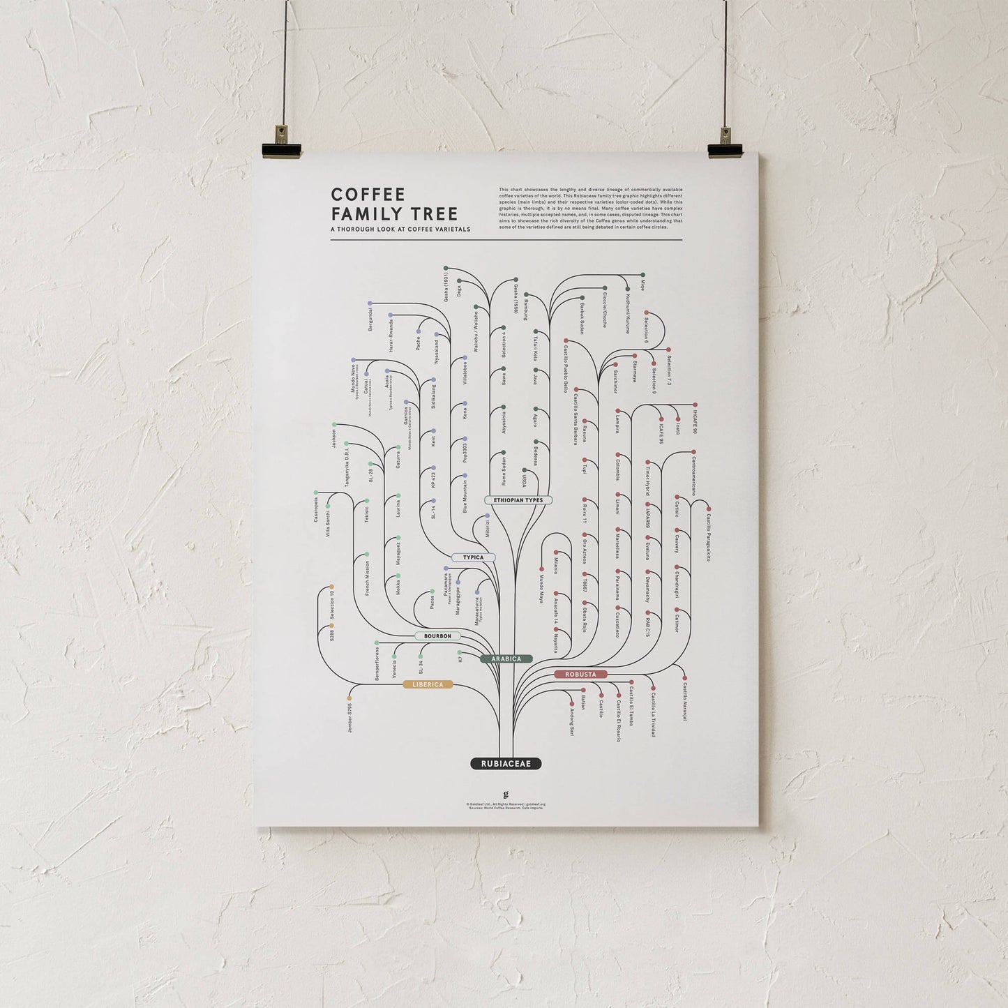 GoldLeaf Coffee Family Tree Print Best Sales Price - Art Prints