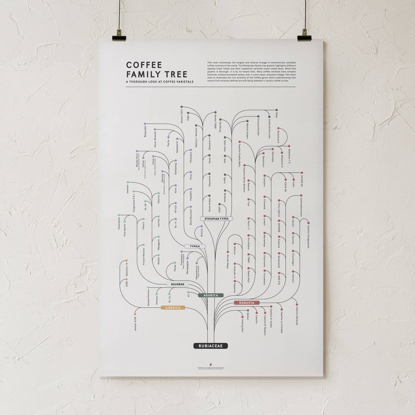 GoldLeaf Coffee Family Tree Print Best Sales Price - Art Prints