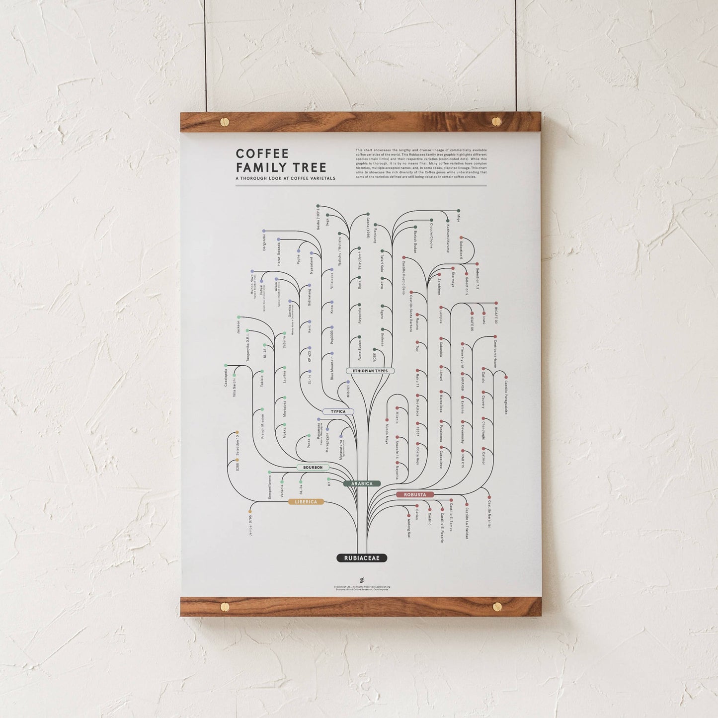 GoldLeaf Coffee Family Tree Print Best Sales Price - Art Prints