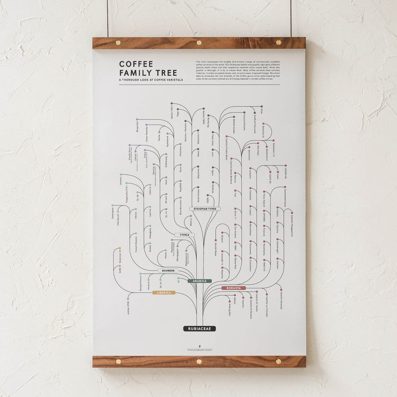 GoldLeaf Coffee Family Tree Print Best Sales Price - Art Prints
