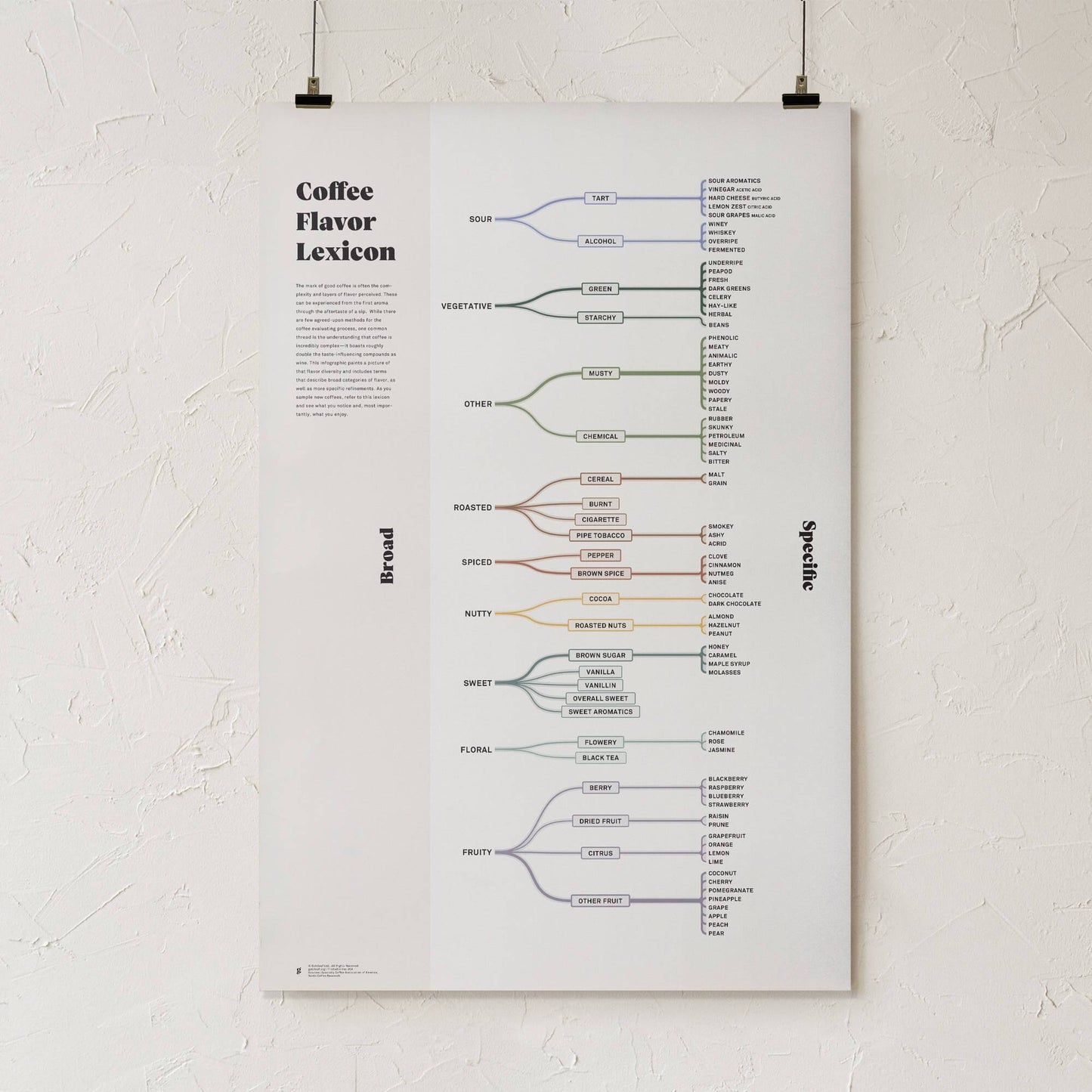 GoldLeaf Coffee Flavor Lexicon Print Best Sales Price - Art Prints