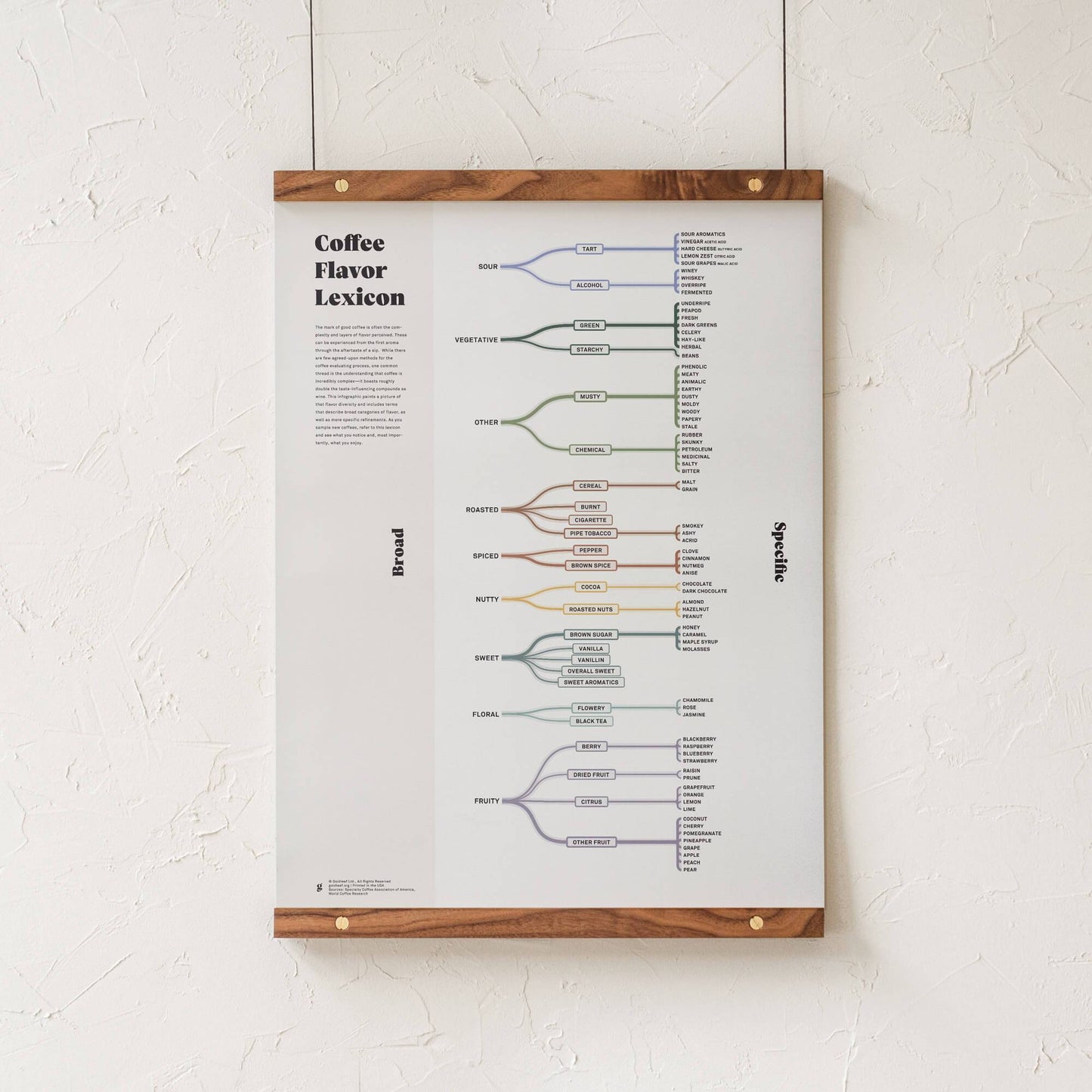 GoldLeaf Coffee Flavor Lexicon Print Best Sales Price - Art Prints