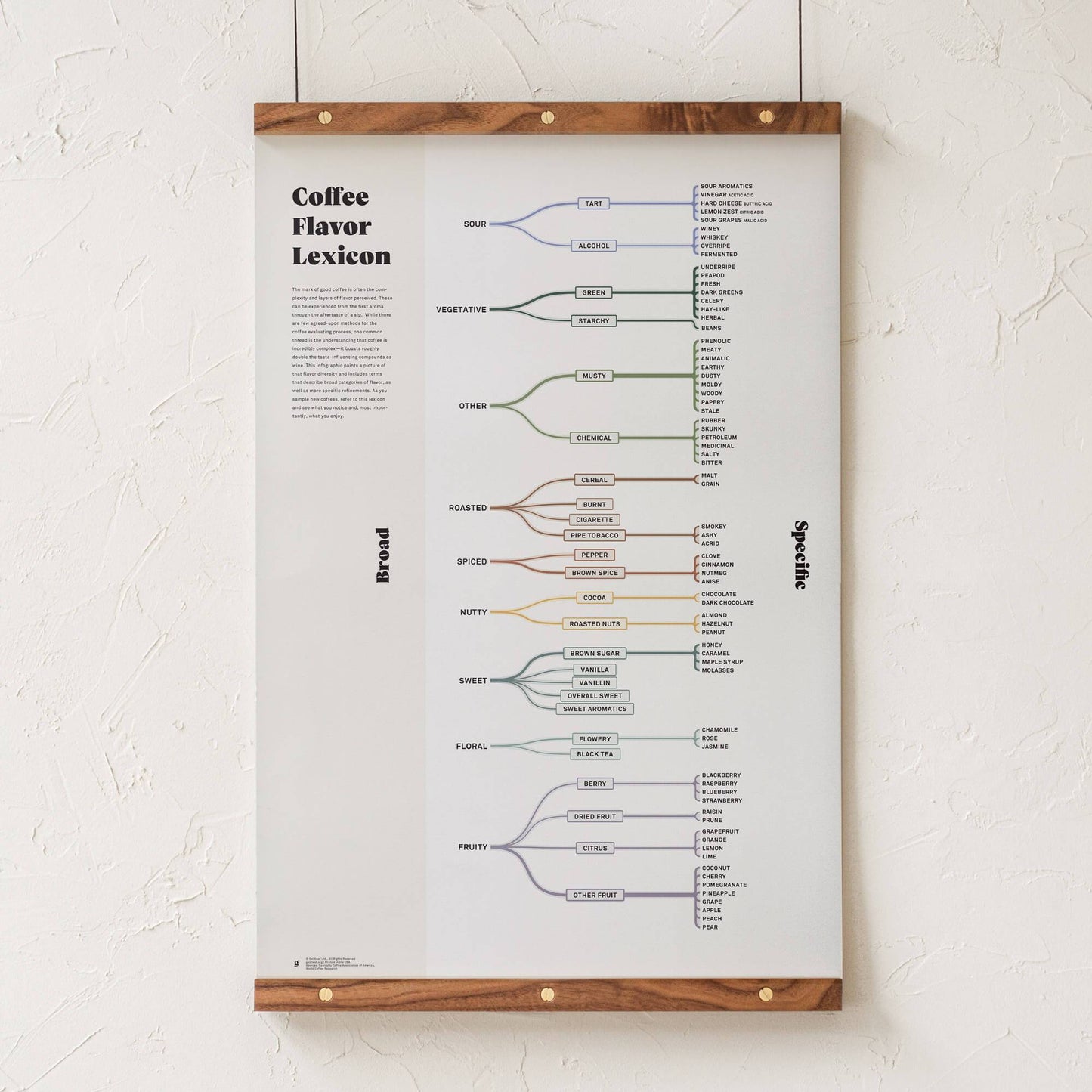 GoldLeaf Coffee Flavor Lexicon Print Best Sales Price - Art Prints