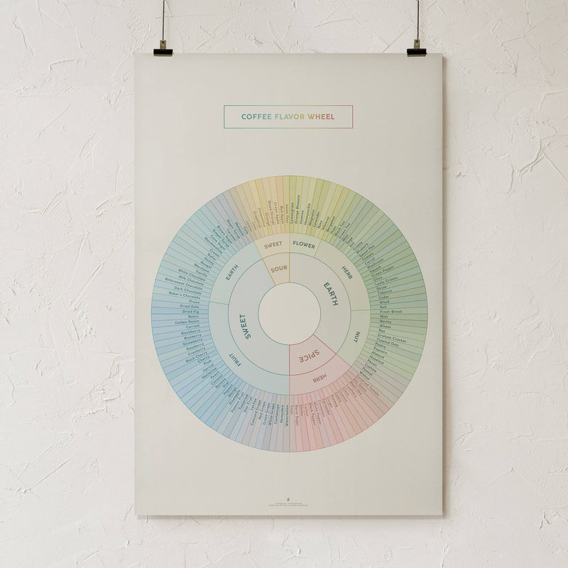 GoldLeaf Coffee Flavor Wheel Print Best Sales Price - Art Prints