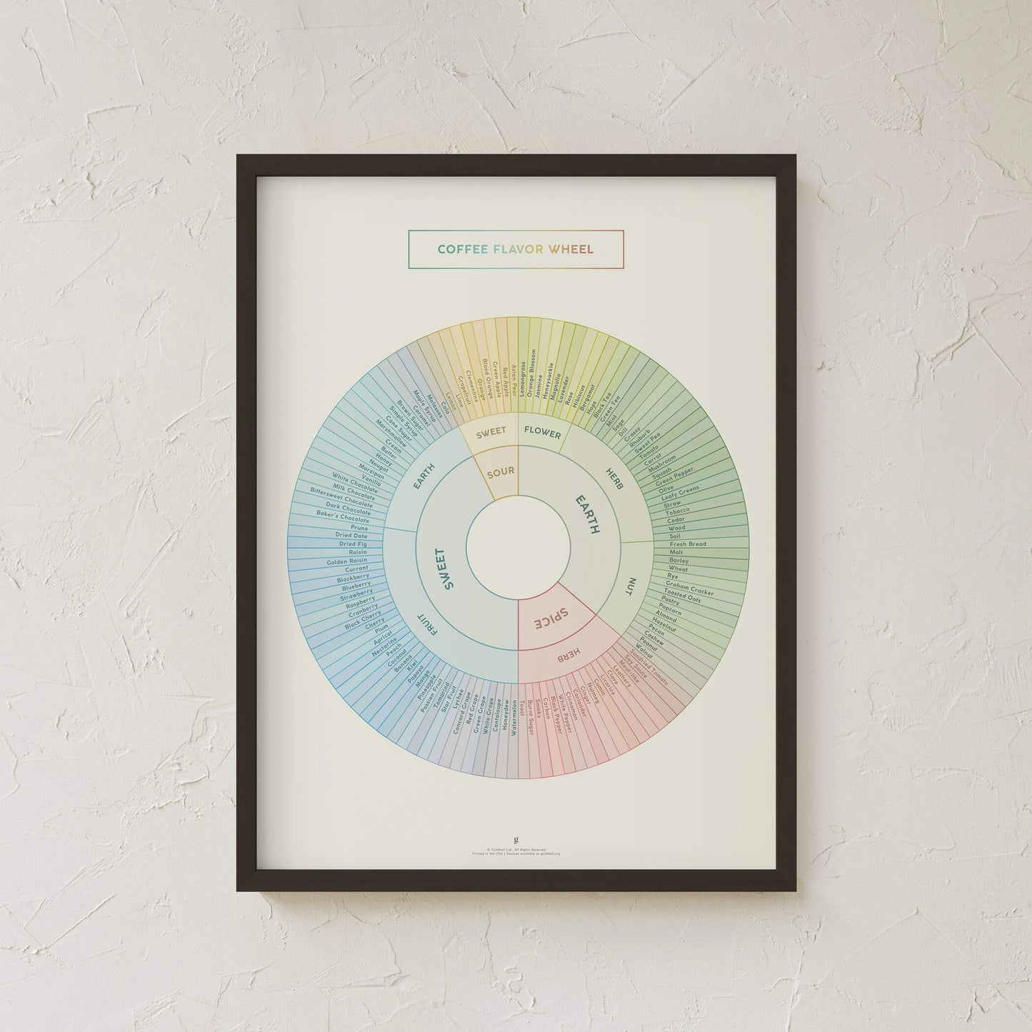 GoldLeaf Coffee Flavor Wheel Print Best Sales Price - Art Prints