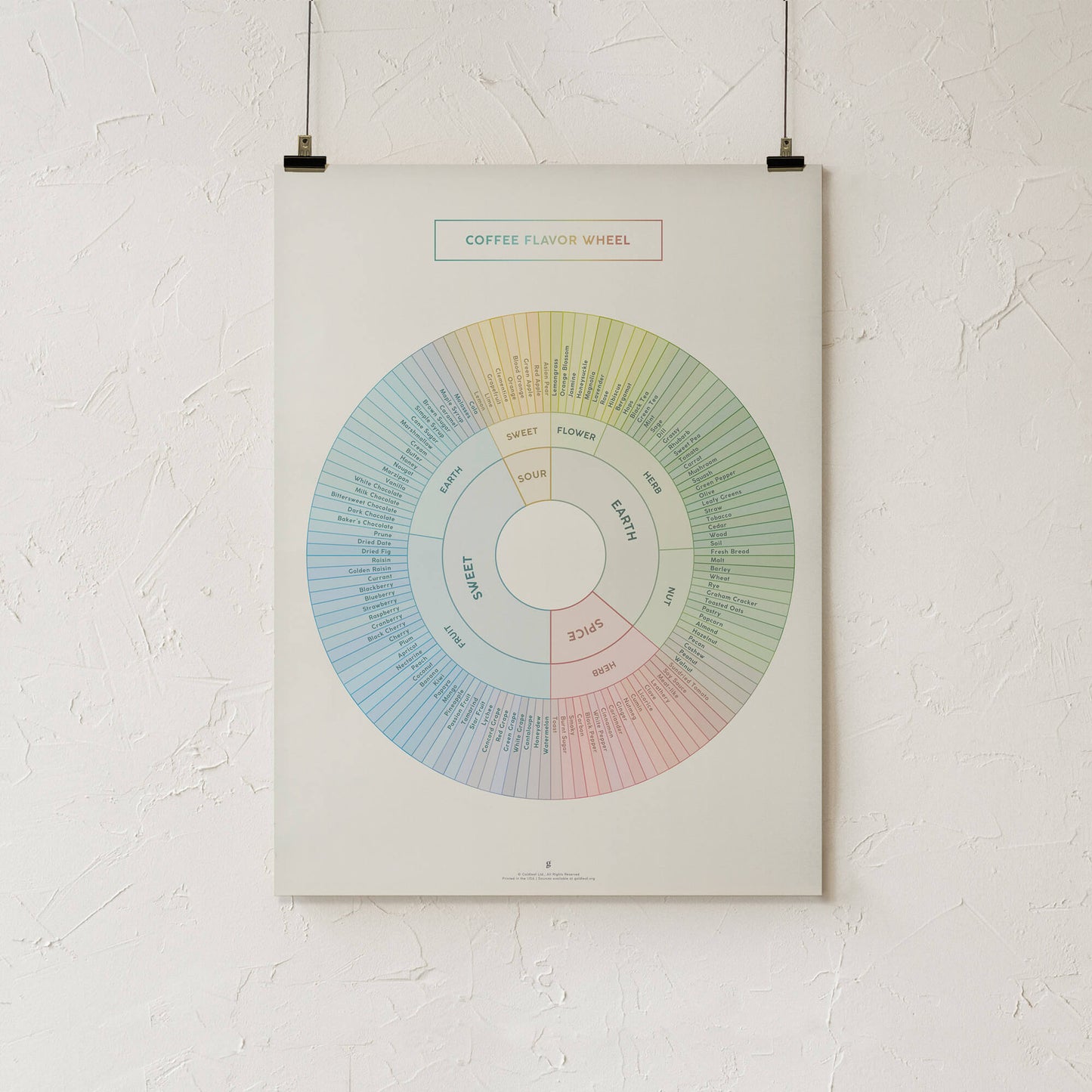 GoldLeaf Coffee Flavor Wheel Print Best Sales Price - Art Prints