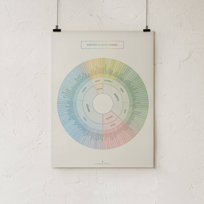 GoldLeaf Coffee Flavor Wheel Print Best Sales Price - Art Prints