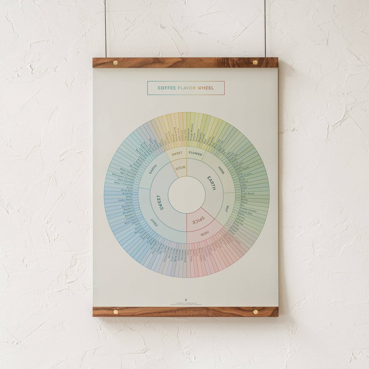 GoldLeaf Coffee Flavor Wheel Print Best Sales Price - Art Prints