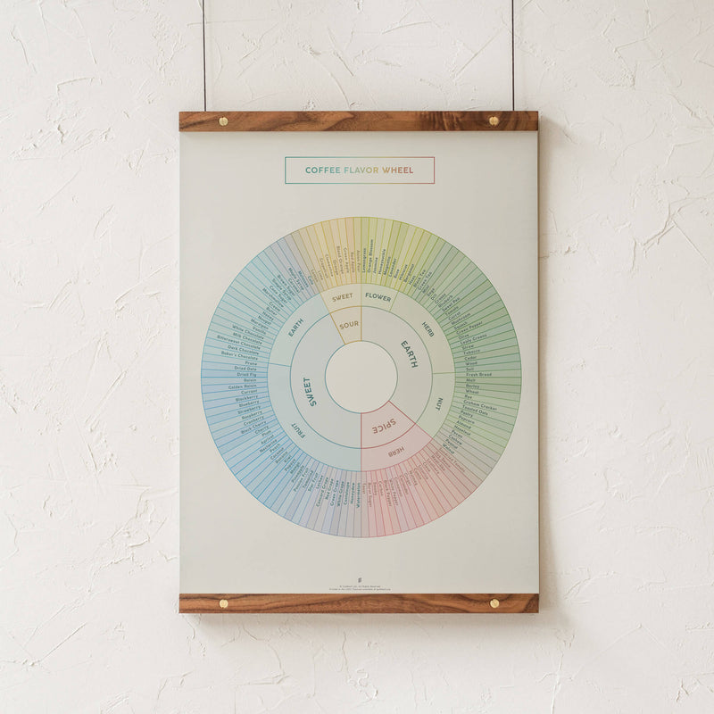 GoldLeaf Coffee Flavor Wheel Print Best Sales Price - Art Prints