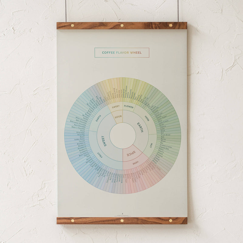 GoldLeaf Coffee Flavor Wheel Print Best Sales Price - Art Prints