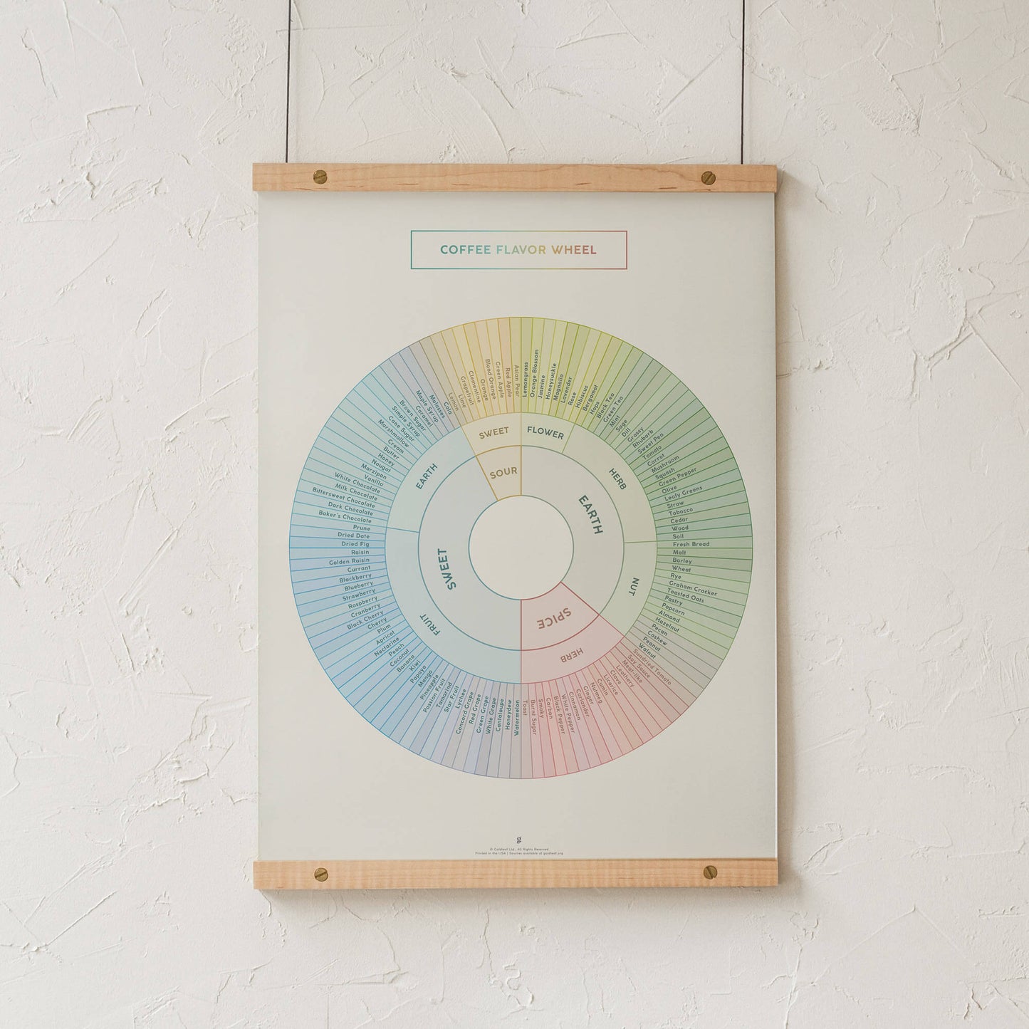 GoldLeaf Coffee Flavor Wheel Print Best Sales Price - Art Prints