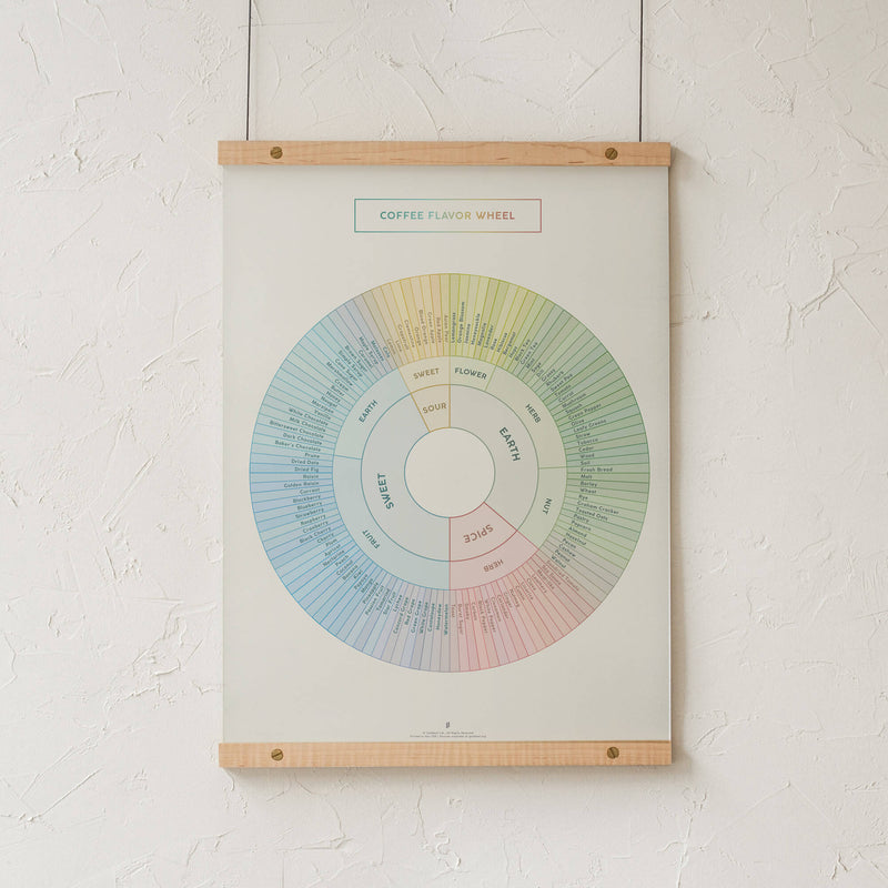 GoldLeaf Coffee Flavor Wheel Print Best Sales Price - Art Prints