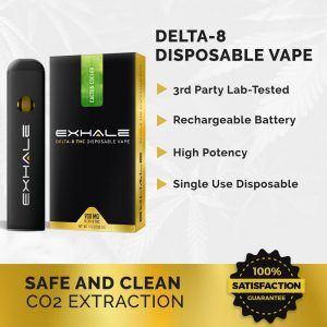 Delta 8 Disposable Vape Pen - Pineapple Express