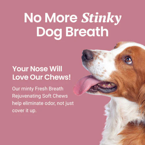 Holistapet Dog Breath Freshener