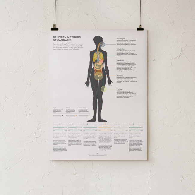 GoldLeaf Delivery Methods of Cannabis Chart Print Best Sales Price - Art Prints