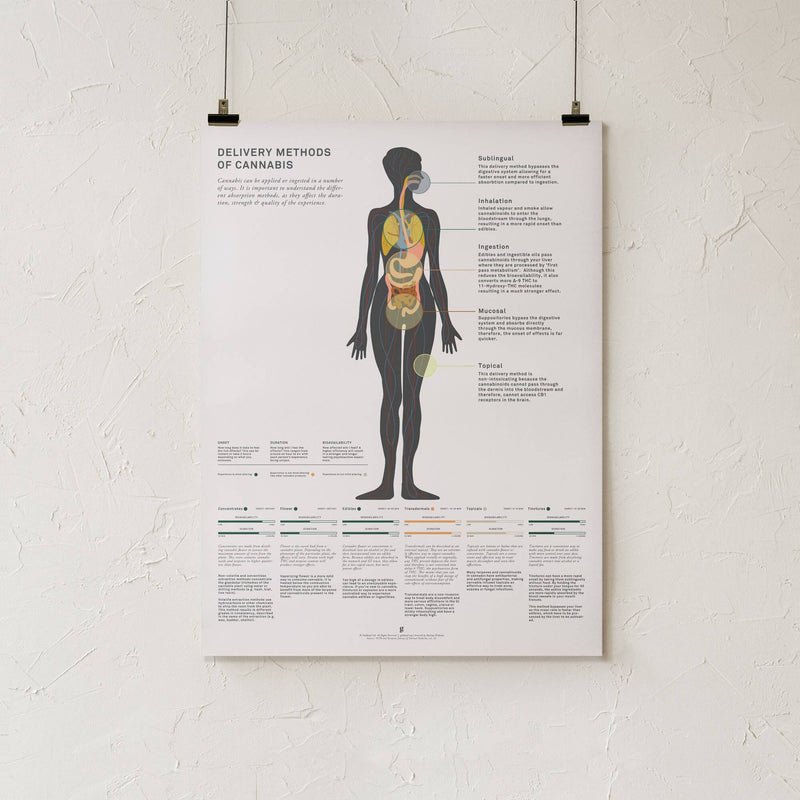 GoldLeaf Delivery Methods of Cannabis Chart Print Best Sales Price - Art Prints