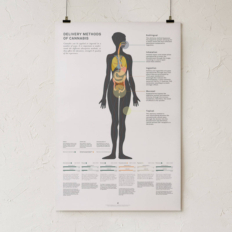 GoldLeaf Delivery Methods of Cannabis Chart Print Best Sales Price - Art Prints