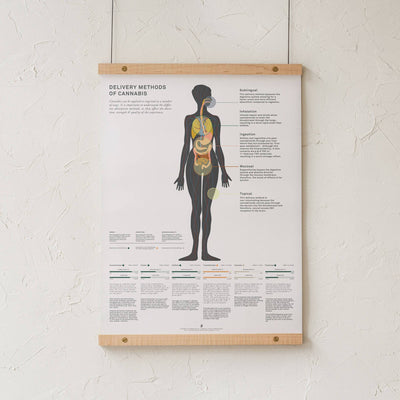 GoldLeaf Delivery Methods of Cannabis Chart Print Best Sales Price - Art Prints