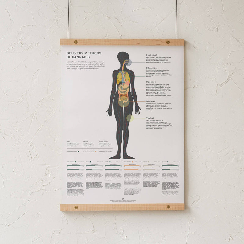 GoldLeaf Delivery Methods of Cannabis Chart Print Best Sales Price - Art Prints
