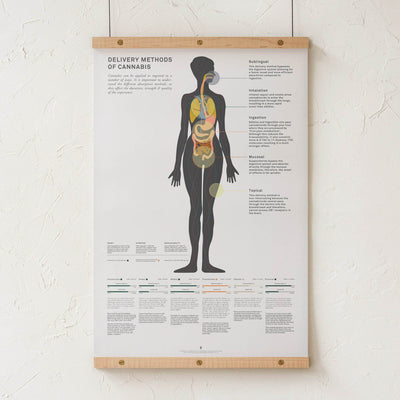 GoldLeaf Delivery Methods of Cannabis Chart Print Best Sales Price - Art Prints