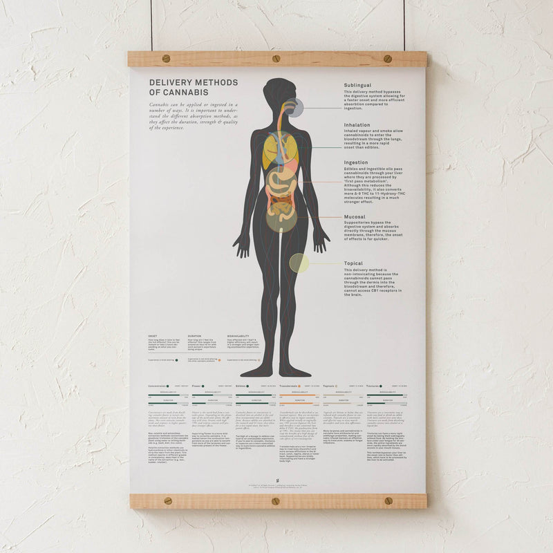 GoldLeaf Delivery Methods of Cannabis Chart Print Best Sales Price - Art Prints