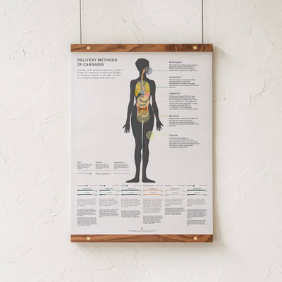 GoldLeaf Delivery Methods of Cannabis Chart Print Best Sales Price - Art Prints