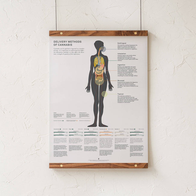 GoldLeaf Delivery Methods of Cannabis Chart Print Best Sales Price - Art Prints