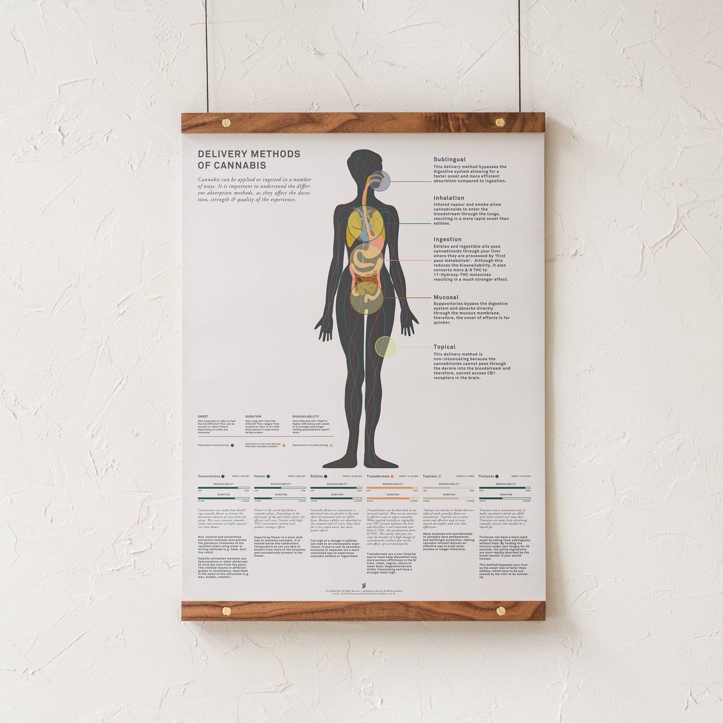 GoldLeaf Impresión Gráfico de Métodos Administración de Cannabis Best Sales Price - Art Prints