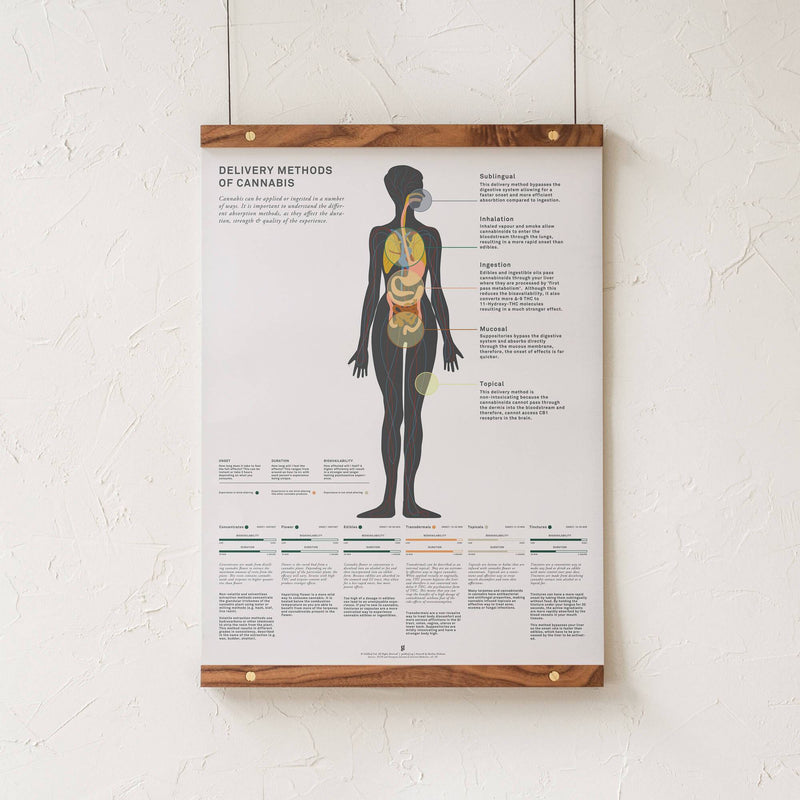 GoldLeaf Impresión Gráfico de Métodos Administración de Cannabis Best Sales Price - Art Prints